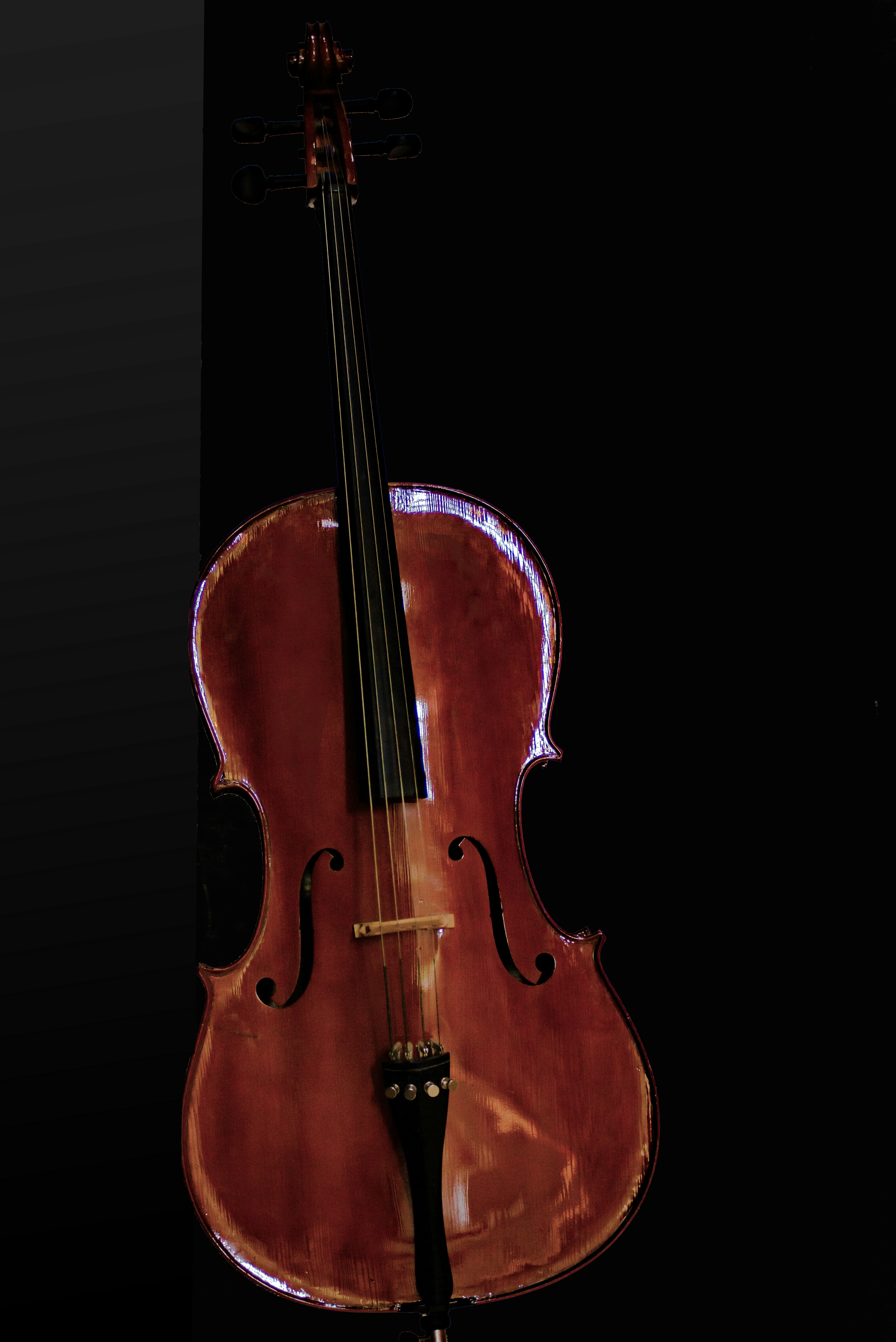 Arco e violino no atelier