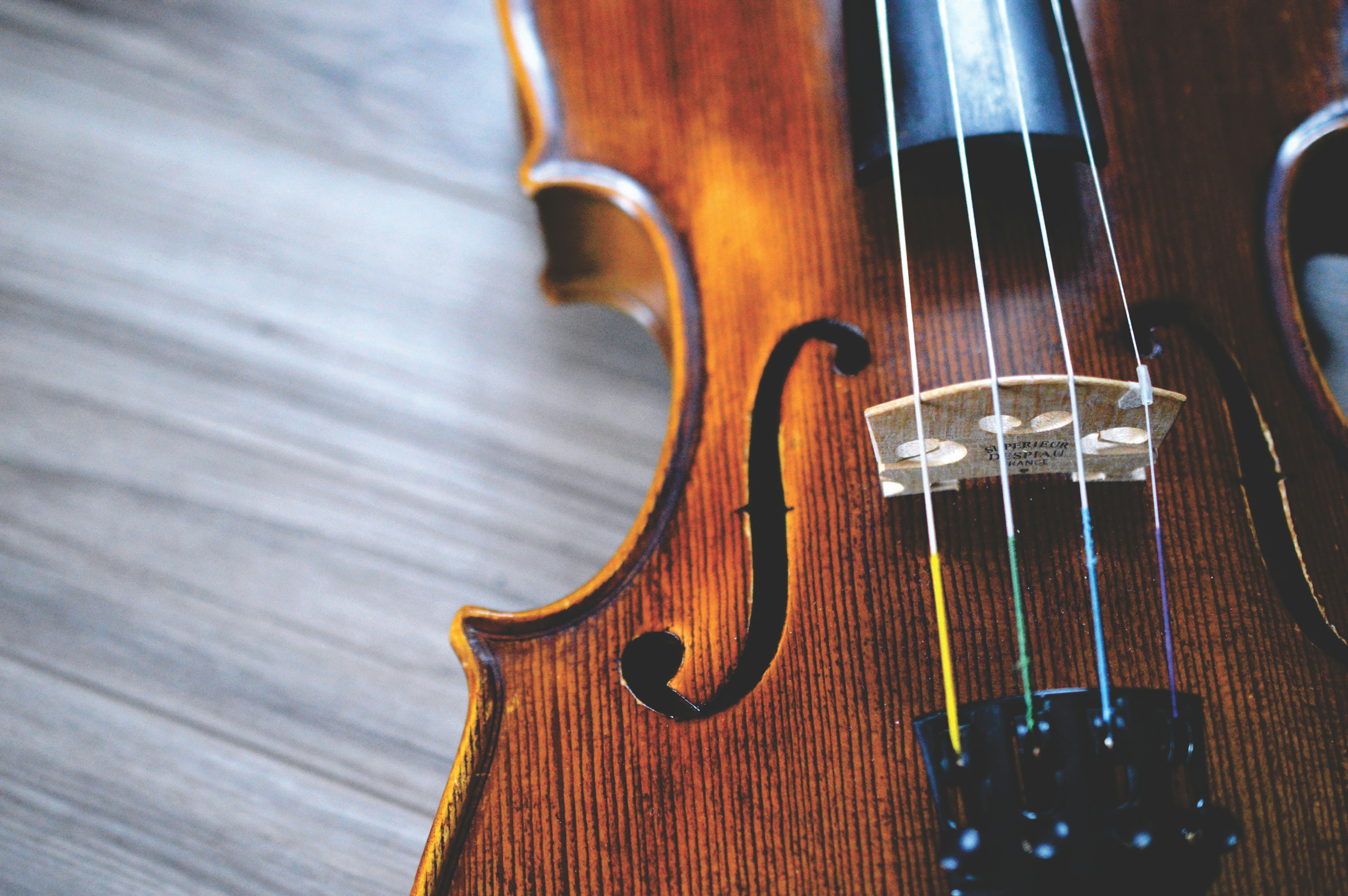 Violino de alta performance