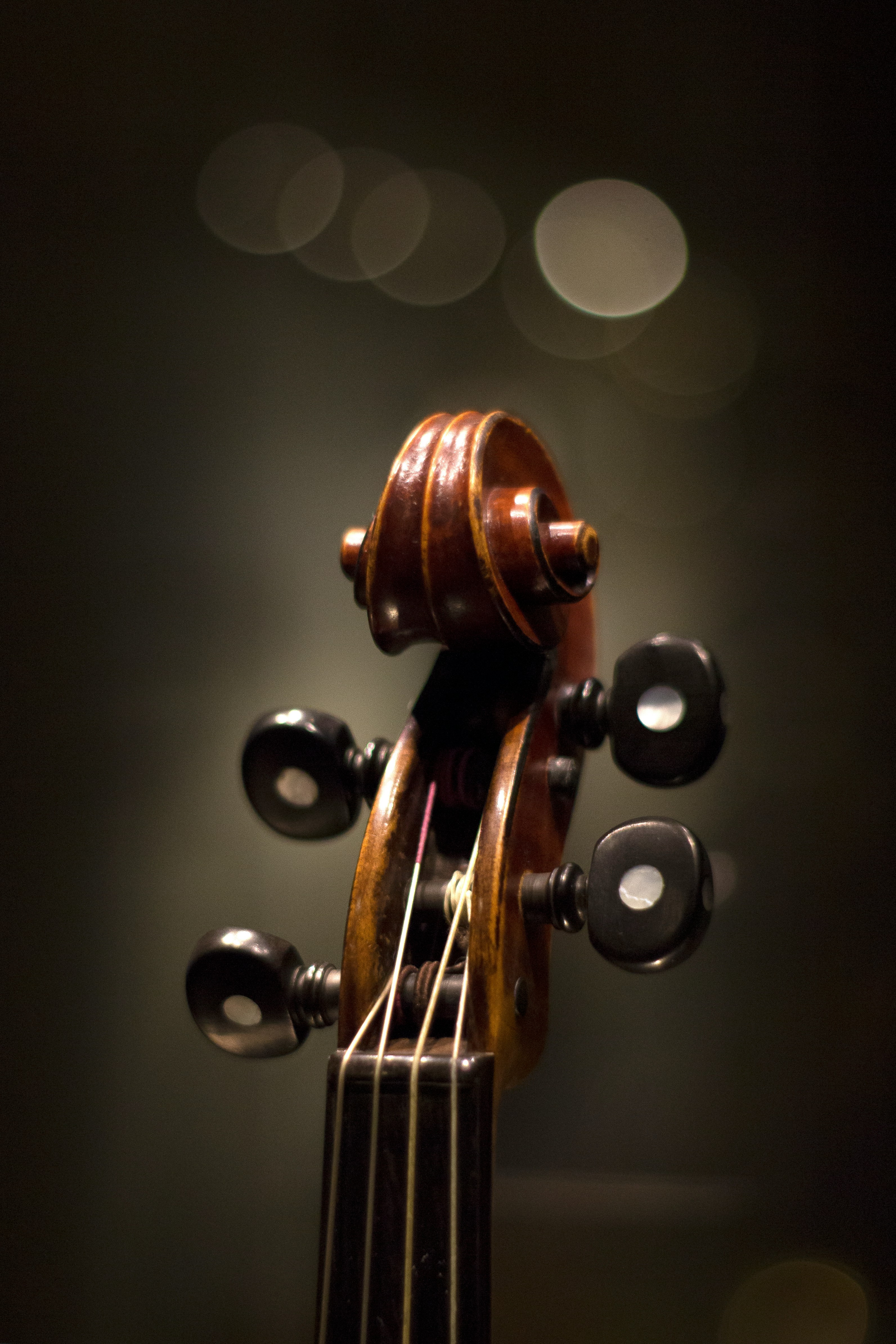 Violino construído sob medida no atelier