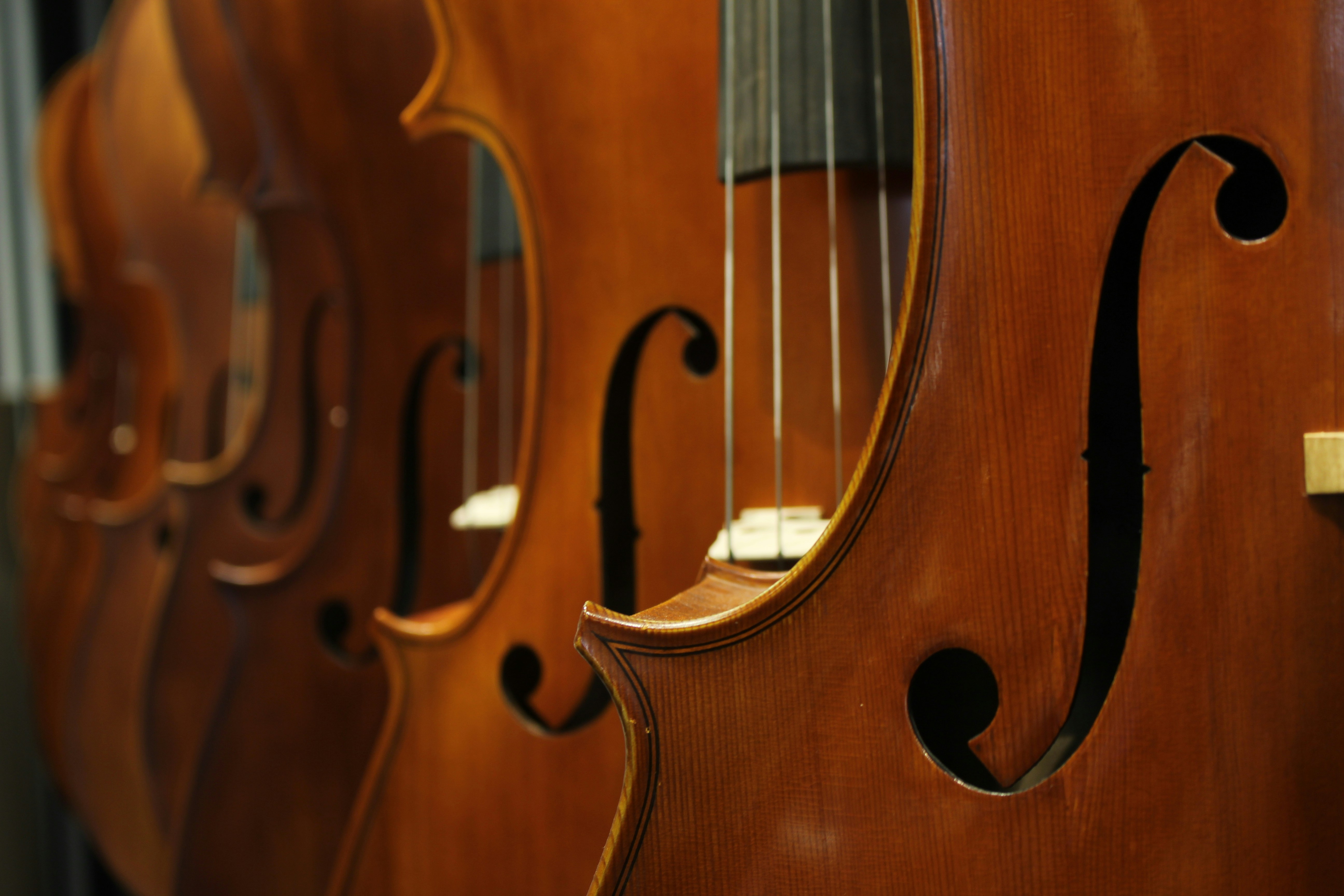 Coleção de violinos no atelier