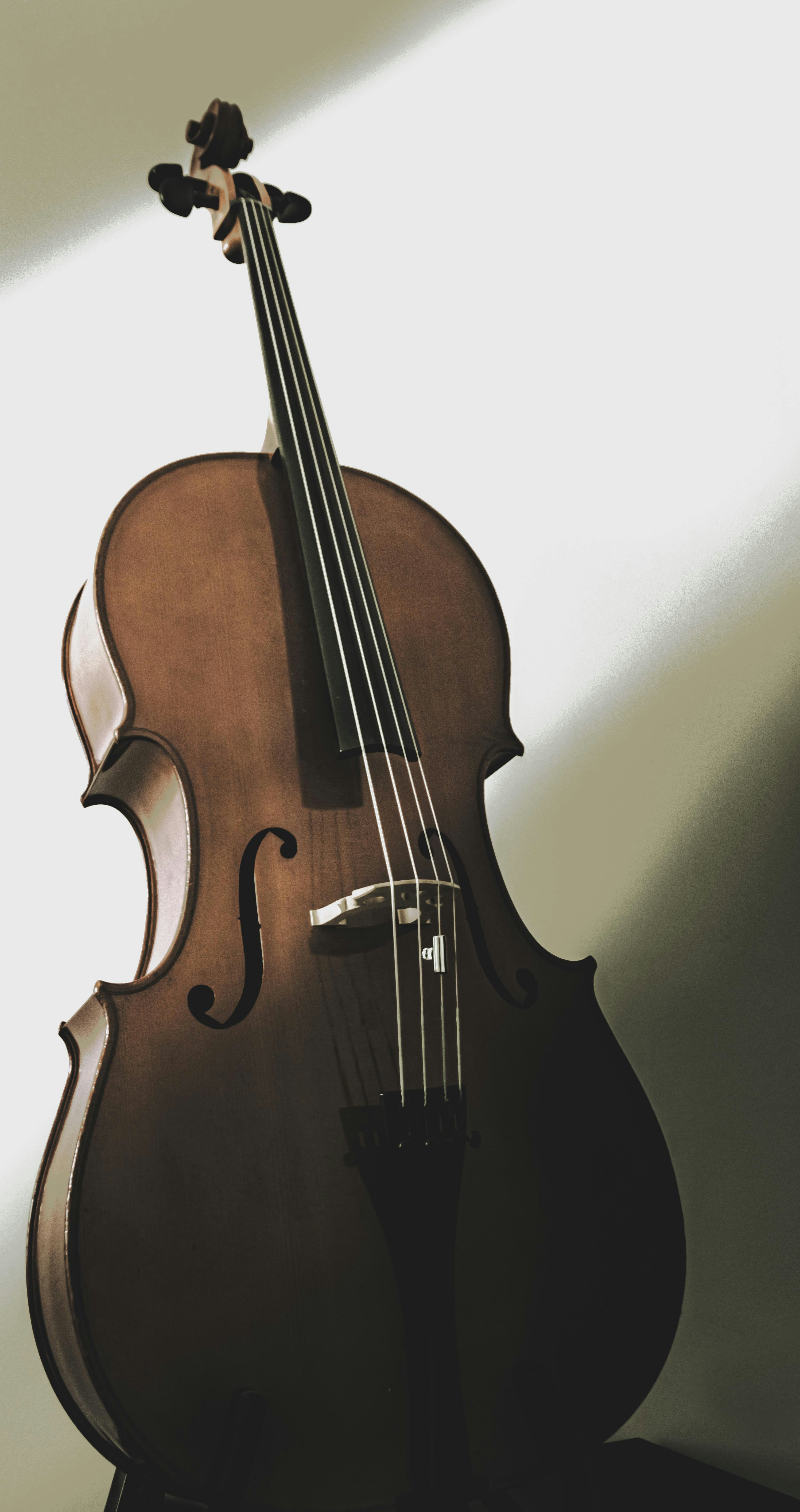 Violoncelo artesanal